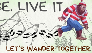 One Life Live It Bumper Sticker