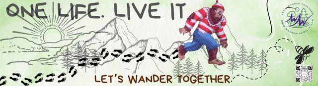 One Life Live It Bumper Sticker